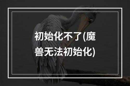 初始化不了(魔兽无法初始化)