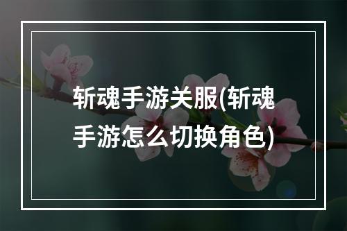 斩魂手游关服(斩魂手游怎么切换角色)