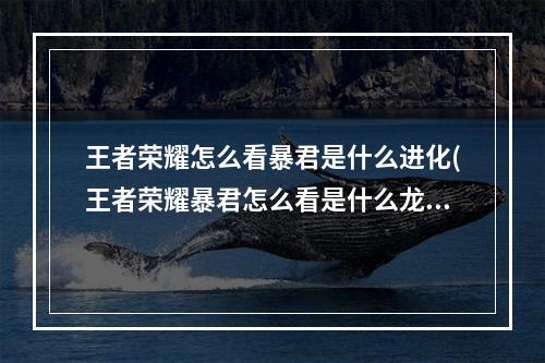 王者荣耀怎么看暴君是什么进化(王者荣耀暴君怎么看是什么龙s26暴君调整)