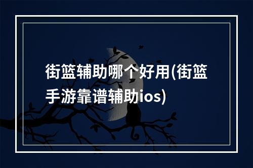 街篮辅助哪个好用(街篮手游靠谱辅助ios)