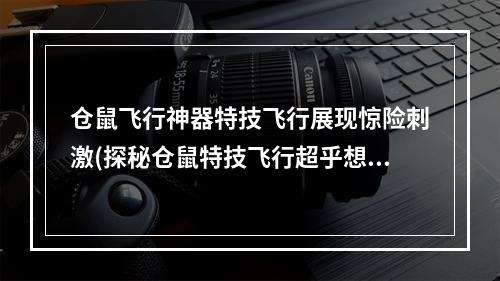 仓鼠飞行神器特技飞行展现惊险刺激(探秘仓鼠特技飞行超乎想象的华丽表演)