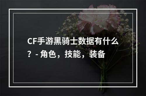 CF手游黑骑士数据有什么？- 角色，技能，装备