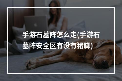 手游石墓阵怎么走(手游石墓阵安全区有没有猪脚)