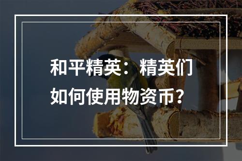 和平精英：精英们如何使用物资币？