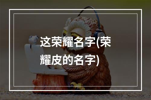 这荣耀名字(荣耀皮的名字)