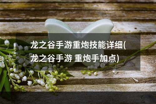 龙之谷手游重炮技能详细(龙之谷手游 重炮手加点)