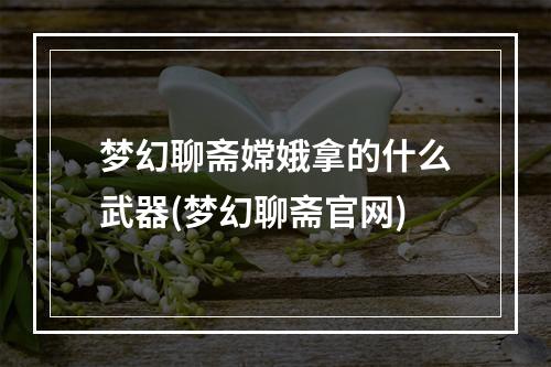 梦幻聊斋嫦娥拿的什么武器(梦幻聊斋官网)