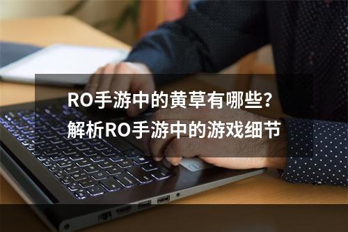 RO手游中的黄草有哪些？解析RO手游中的游戏细节