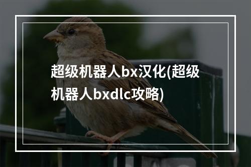 超级机器人bx汉化(超级机器人bxdlc攻略)