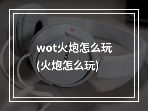 wot火炮怎么玩(火炮怎么玩)