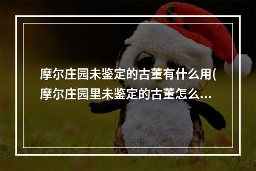 摩尔庄园未鉴定的古董有什么用(摩尔庄园里未鉴定的古董怎么用)