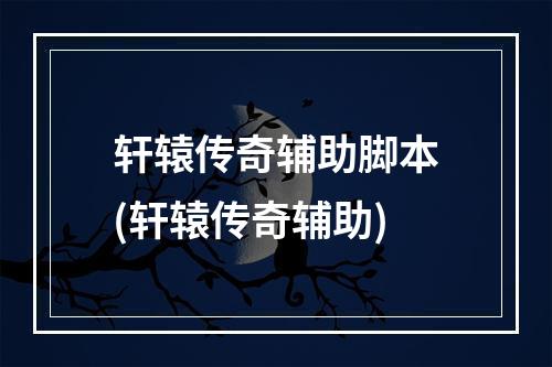 轩辕传奇辅助脚本(轩辕传奇辅助)