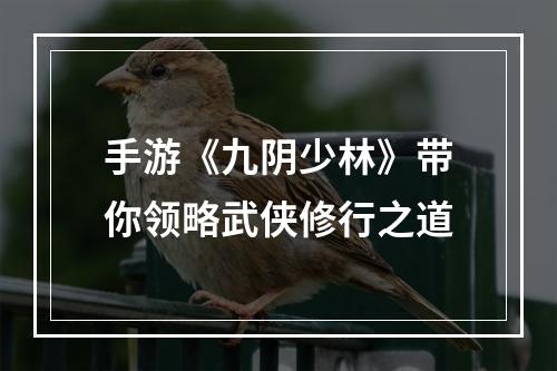 手游《九阴少林》带你领略武侠修行之道