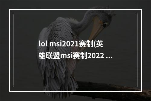 lol msi2021赛制(英雄联盟msi赛制2022 lol2022msi季中赛比赛赛制介绍)