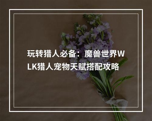 玩转猎人必备：魔兽世界WLK猎人宠物天赋搭配攻略