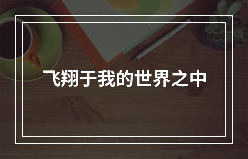 飞翔于我的世界之中