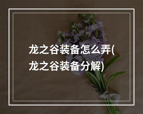 龙之谷装备怎么弄(龙之谷装备分解)