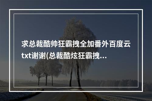 求总裁酷帅狂霸拽全加番外百度云txt谢谢(总裁酷炫狂霸拽)