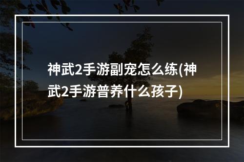 神武2手游副宠怎么练(神武2手游普养什么孩子)