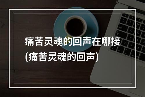 痛苦灵魂的回声在哪接(痛苦灵魂的回声)