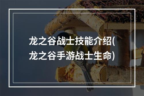 龙之谷战士技能介绍(龙之谷手游战士生命)