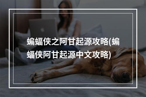 蝙蝠侠之阿甘起源攻略(蝙蝠侠阿甘起源中文攻略)