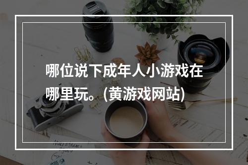 哪位说下成年人小游戏在哪里玩。(黄游戏网站)