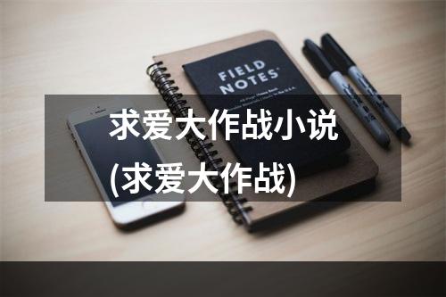 求爱大作战小说(求爱大作战)