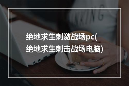 绝地求生刺激战场pc(绝地求生刺击战场电脑)