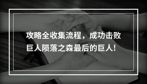 攻略全收集流程，成功击败巨人陨落之森最后的巨人!