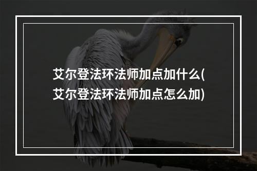 艾尔登法环法师加点加什么(艾尔登法环法师加点怎么加)