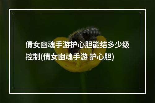 倩女幽魂手游护心胆能结多少级控制(倩女幽魂手游 护心胆)