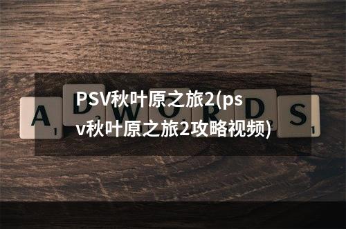 PSV秋叶原之旅2(psv秋叶原之旅2攻略视频)