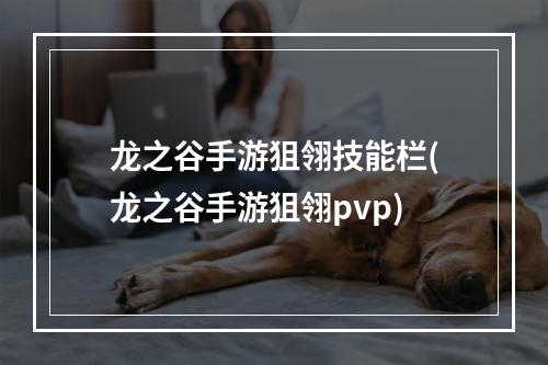 龙之谷手游狙翎技能栏(龙之谷手游狙翎pvp)