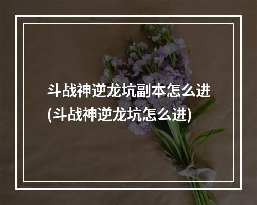 斗战神逆龙坑副本怎么进(斗战神逆龙坑怎么进)