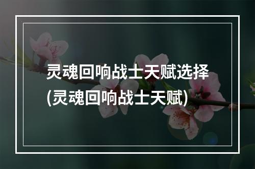 灵魂回响战士天赋选择(灵魂回响战士天赋)