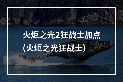 火炬之光2狂战士加点(火炬之光狂战士)