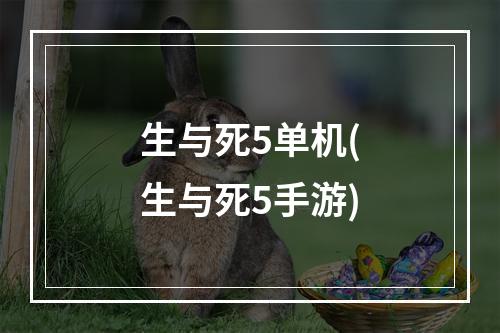 生与死5单机(生与死5手游)