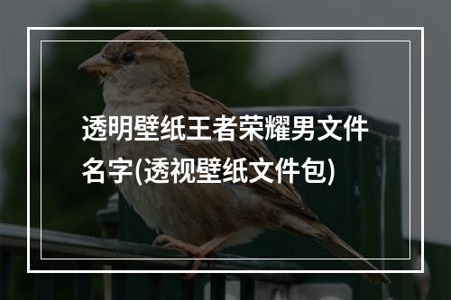 透明壁纸王者荣耀男文件名字(透视壁纸文件包)