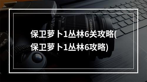 保卫萝卜1丛林6关攻略(保卫萝卜1丛林6攻略)