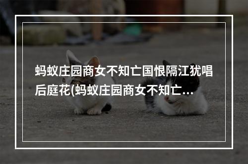 蚂蚁庄园商女不知亡国恨隔江犹唱后庭花(蚂蚁庄园商女不知亡国恨 支付宝小鸡今日答题2021年5月)