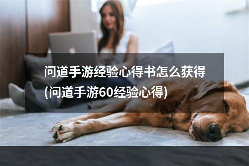 问道手游经验心得书怎么获得(问道手游60经验心得)