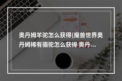 奥丹姆羊驼怎么获得(魔兽世界奥丹姆稀有骆驼怎么获得 奥丹姆稀有骆驼获取方法)