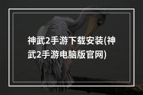 神武2手游下载安装(神武2手游电脑版官网)