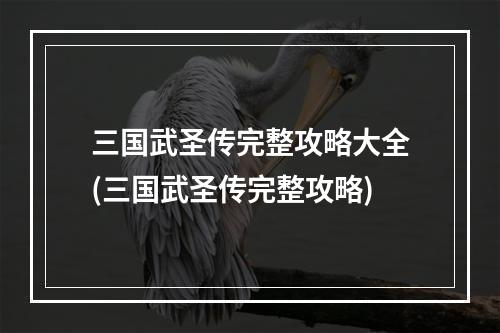 三国武圣传完整攻略大全(三国武圣传完整攻略)