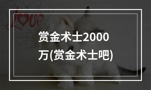 赏金术士2000万(赏金术士吧)