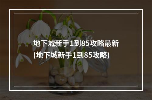 地下城新手1到85攻略最新(地下城新手1到85攻略)