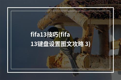 fifa13技巧(fifa13键盘设置图文攻略 3)