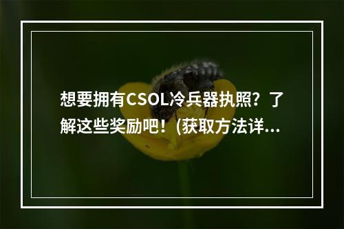 想要拥有CSOL冷兵器执照？了解这些奖励吧！(获取方法详解)(CSOL冷兵器执照成为一名真正的战斗高手！)