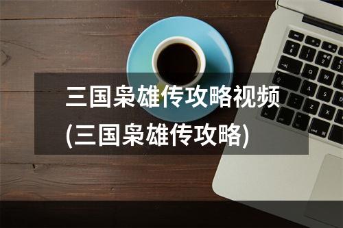 三国枭雄传攻略视频(三国枭雄传攻略)